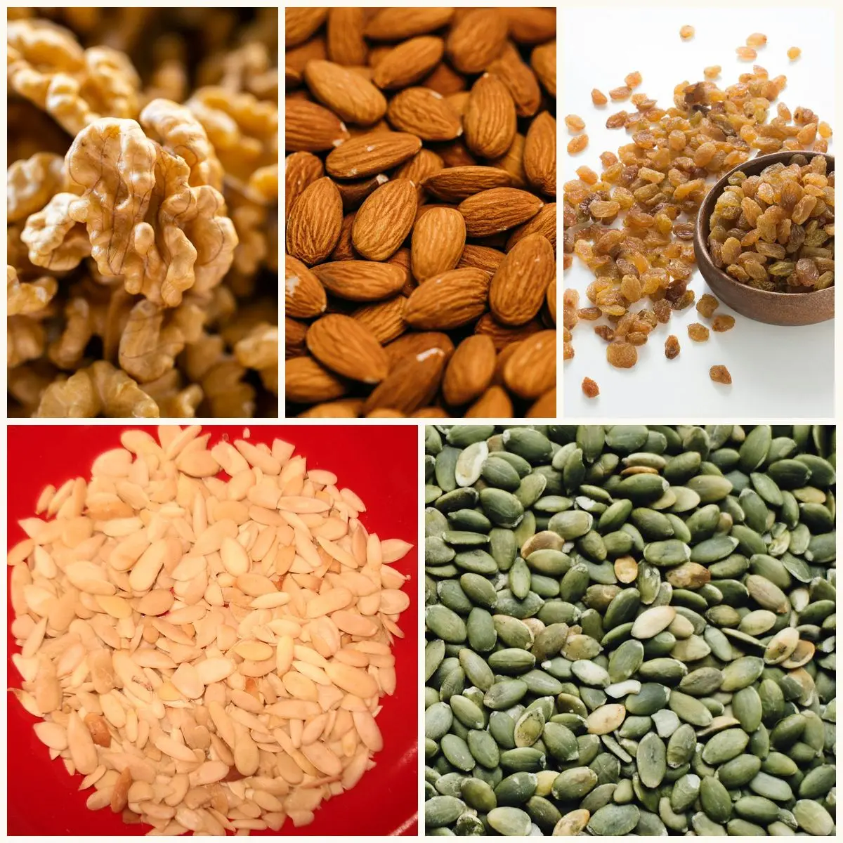 Walnut, badam, raisins, vellari seeds and pumpkin seeds