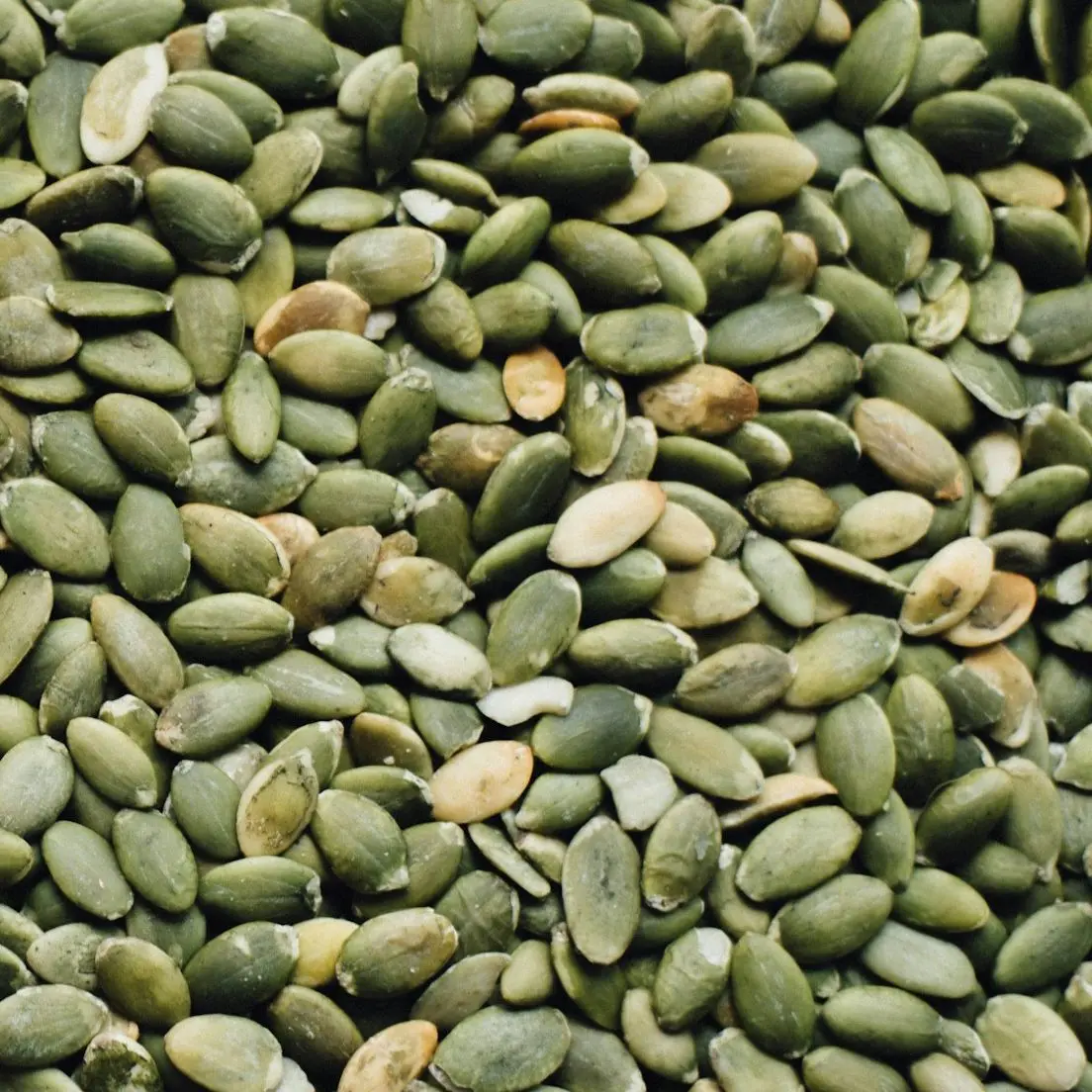 Shelled green pumpkin seeds