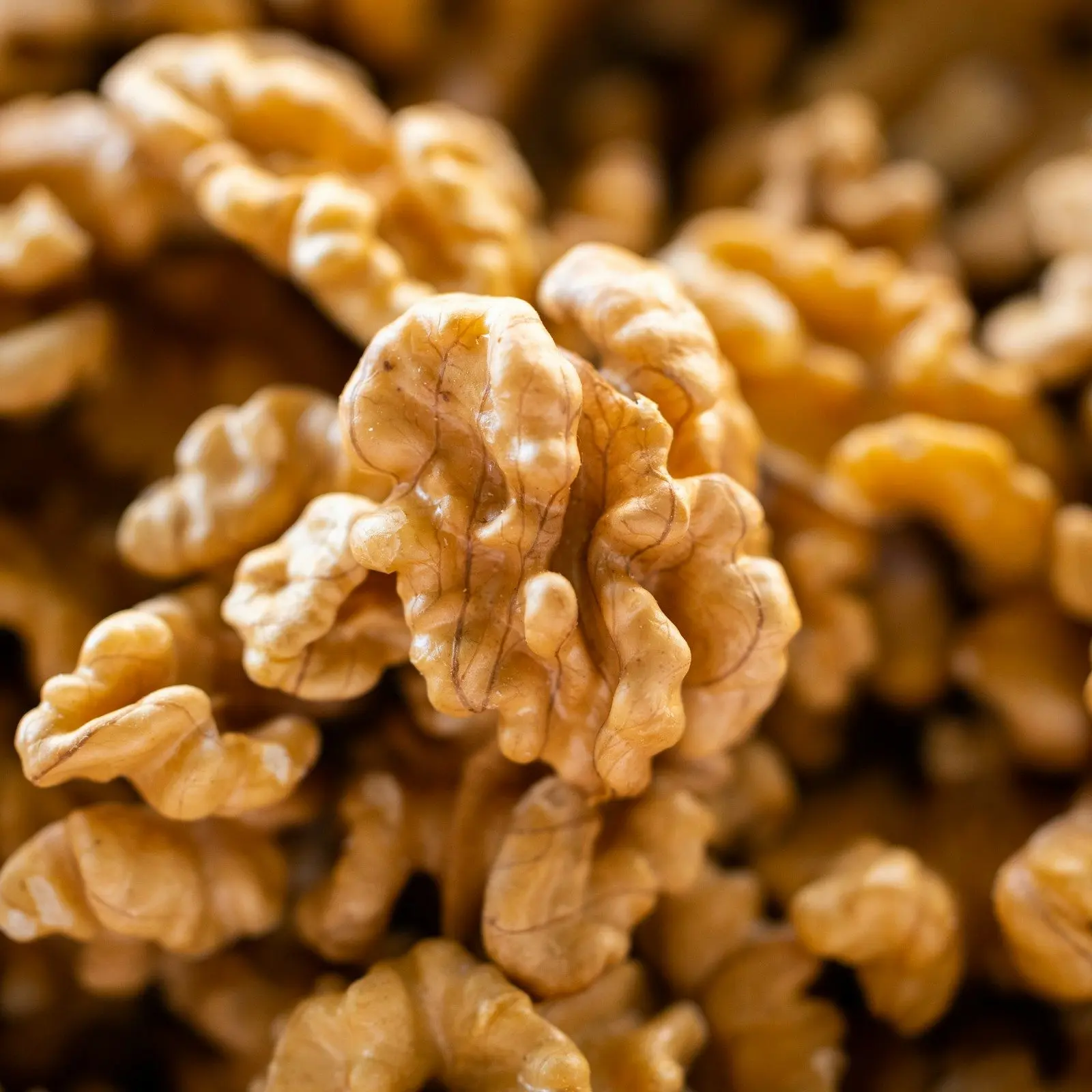 Close-up of shelled walnut kernels